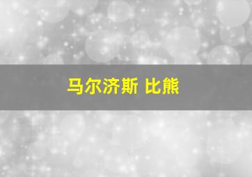 马尔济斯 比熊